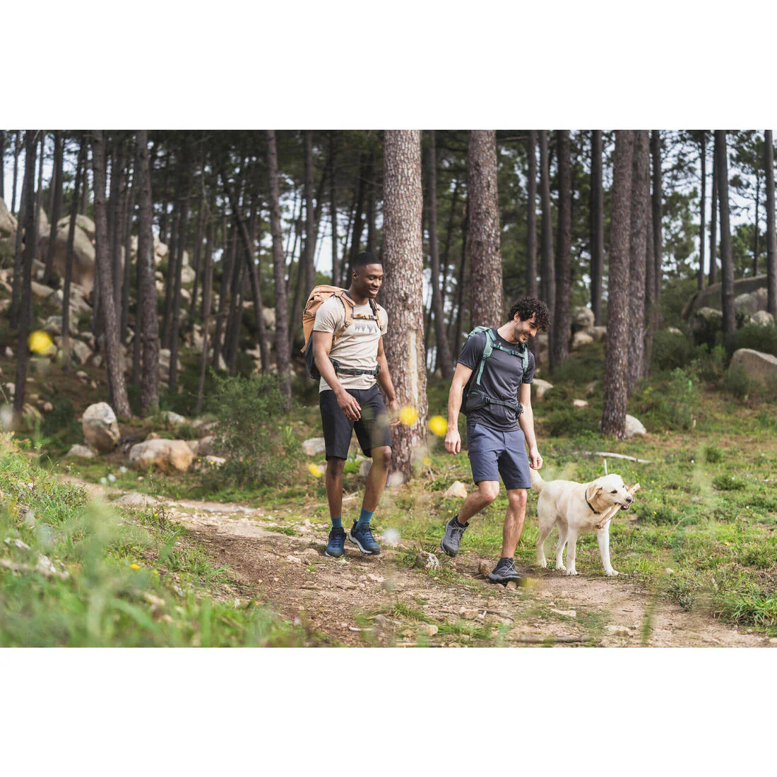 Short de randonnée long homme, MH500 - Image 8